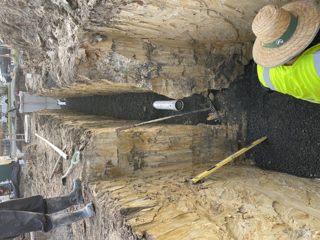 Shored drainage trench